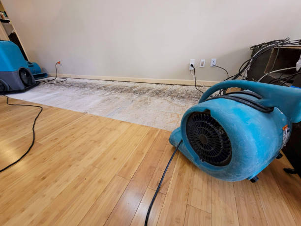 Professional Sewage Cleanup technician working in Winchester, IL